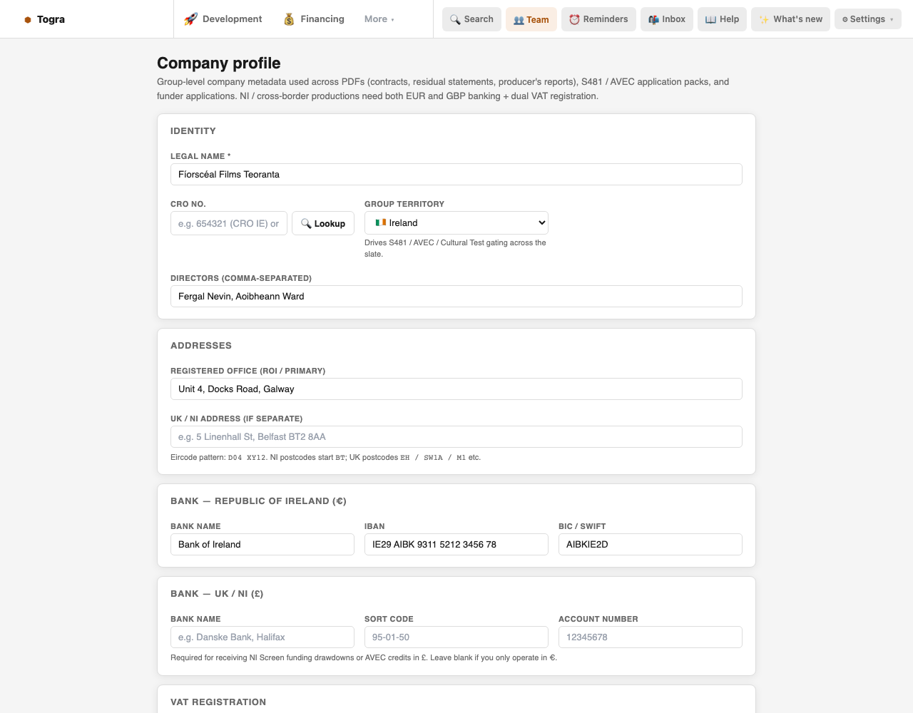 Company profile for a fictional Galway company: legal name, CRO number field, Ireland as group territory, directors and a Republic of Ireland bank.